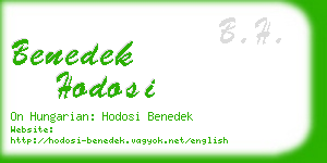 benedek hodosi business card